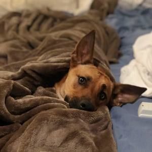 Meet your Posher, Maria